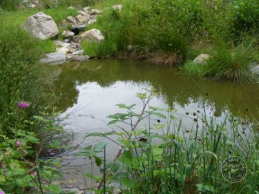 LLP Wildlife Pond Creation 15