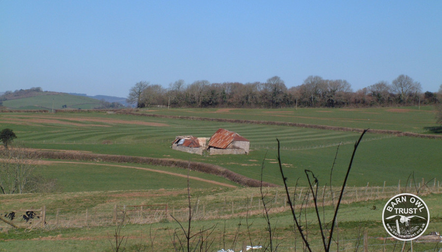 A dilapidated old barn in a field