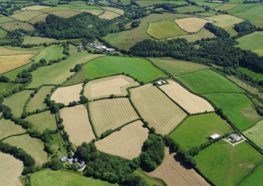 Mixed farming habitat aerial david ramsden 180716 b resized for hub page