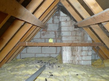 Nest Roost Sites Barn Owl In House Loft