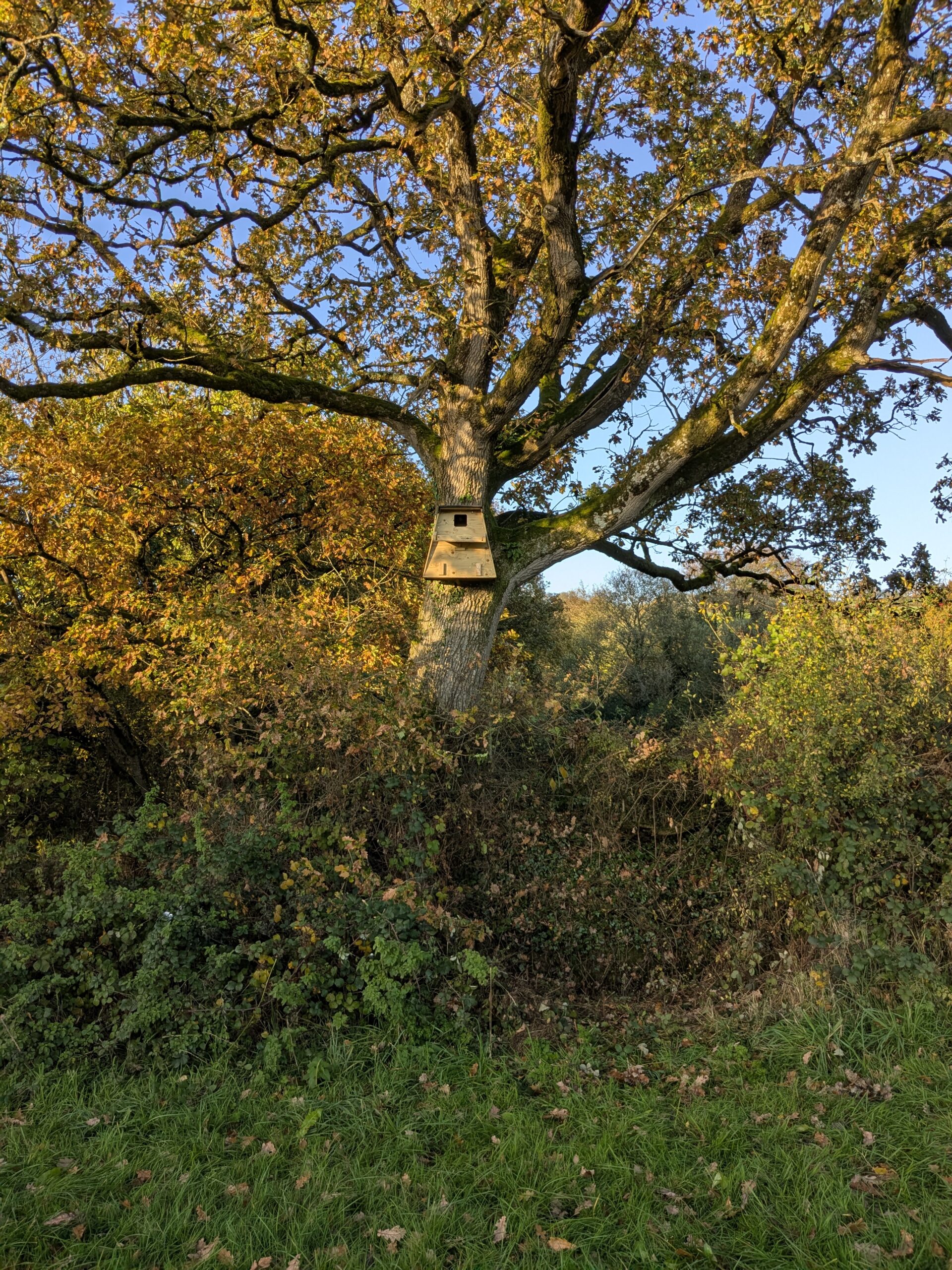 Western power distribution apprentices apexpr 1