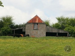 Openings Holes Barn Owls Barn3