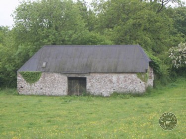 Openings Holes Barn Owls Barn5 Simon Roper