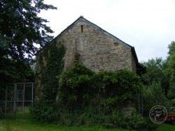 Openings Holes Barn Owls Barn6