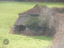 Openings Holes Barn Owls Barn7