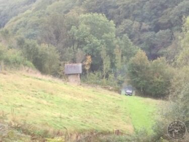 Orchard hedge 13th october