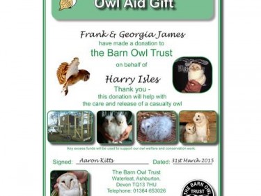 Owl Aid Care And Release