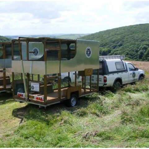 Owl Aid Rehabilitation And Release