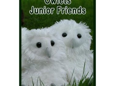 Owlets Junior Friends