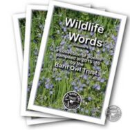 Poems