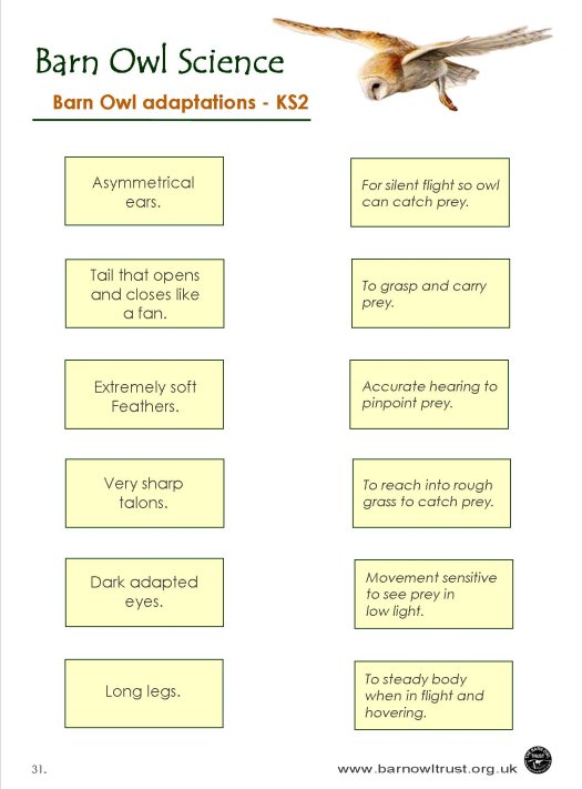 Science Mix And Match KS2