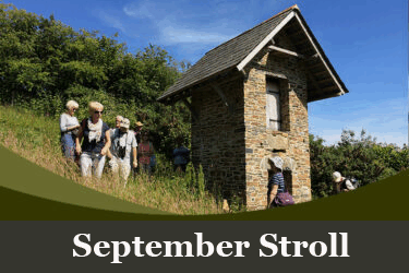 September Stroll – Wednesday 3rd September 2025