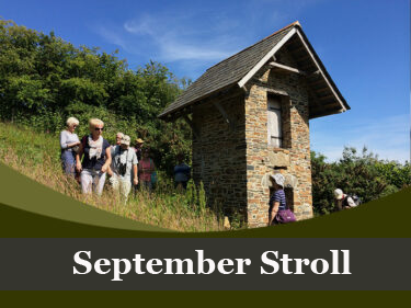 September Stroll – Thursday 11th September 2025