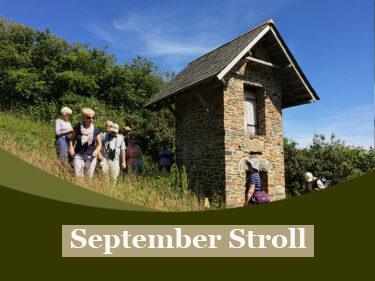 September stroll 3.9.25 png