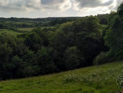 Slope By Corner Wood 180520