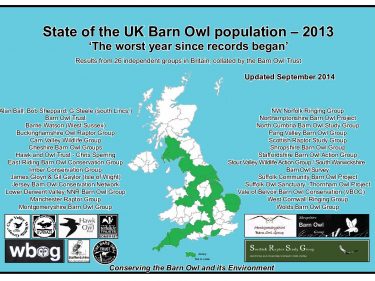 State Of The UK Barn Owl Population – 2013 Updated Links