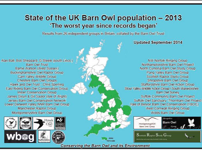 State Of The UK Barn Owl Population 2013
