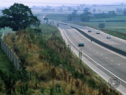 Unscreened Roads Barn Owl Hazard 02