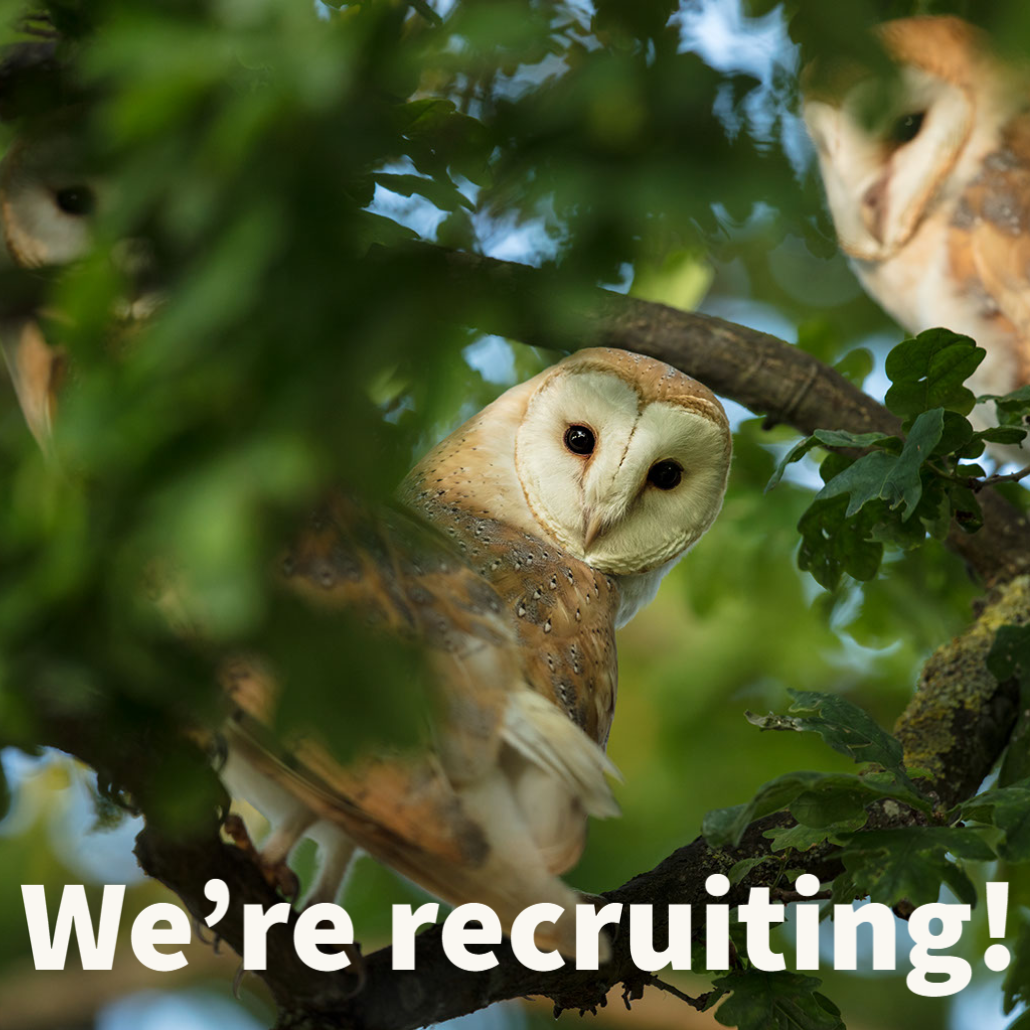 We're recruiting