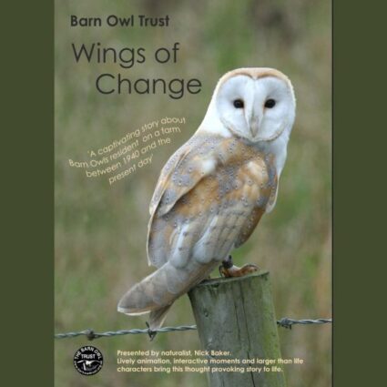 Wings Of Change DVD Front Cover