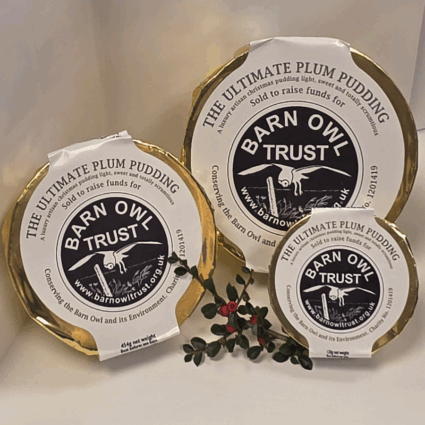 Barn Owl Trust Christmas Puddings