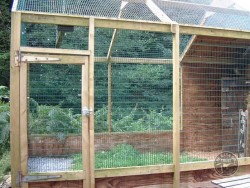 Aviaries Ground Design