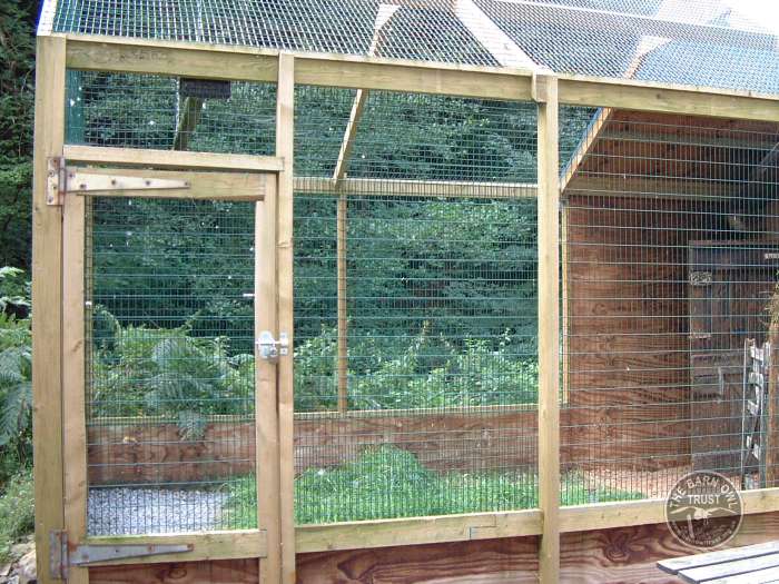 Aviaries Ground Design