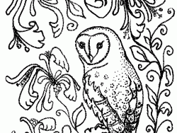 Barn Owl Flowers Coloring Page