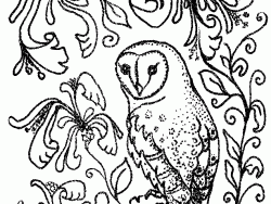 Featured image of post Realistic Owl Coloring Pages / You can use whatever you feel comfortable drawing with.