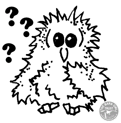 Barney Owlet Cartoon