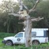 Best Place Tree Nestbox