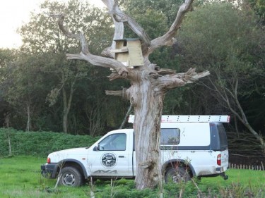 Best Place Tree Nestbox