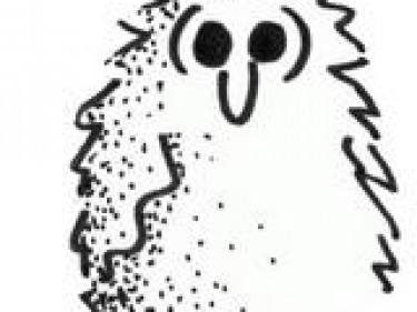 Cartoon Owlet Transparent Background