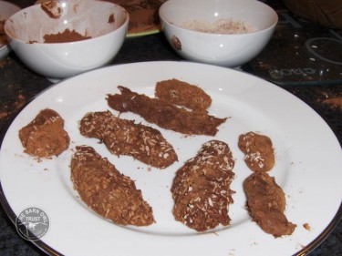 The finished Owl Pellet Chocolate Truffles taste a whole lot better than they look! Finished Owl Pellet Truffles