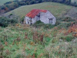 Good Barn Owl Habitat The Barn Owl Trust