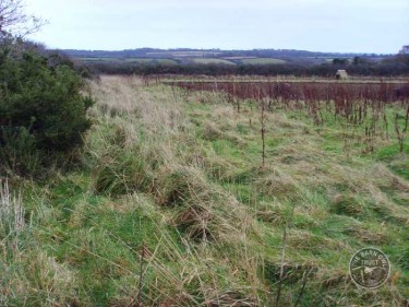 Good Barn Owl Habitat