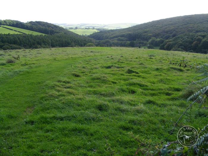 LLP View 7