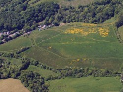 Lennon Legacy Project Llp Aerial Flowers