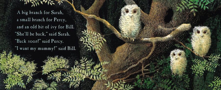 Owl babies inside text