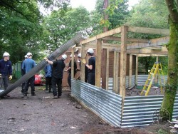 Owl Care Aviary Build Wall Sheets
