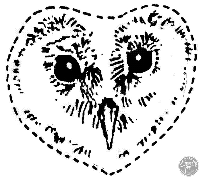 Owl Crafts Face