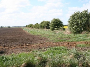 Priority Areas Barn Owl Research Field Margin