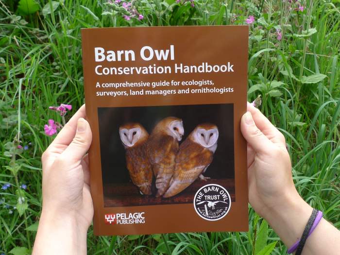Projects barn owl conservation handbook