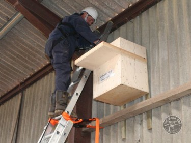 Projects Barn Owl Trust Nestbox Erection