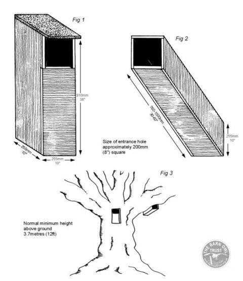 Tawny Owl Nestboxes Diagram