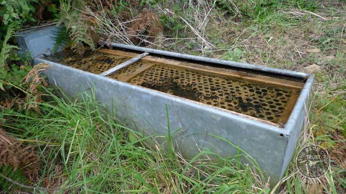 Water Trough Owl Drowning Prevention Device