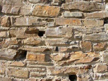 Wildlife Tower Features Provisions Nesting Cavities