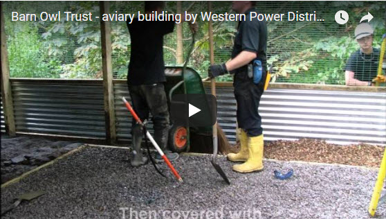 Build Aviary Video