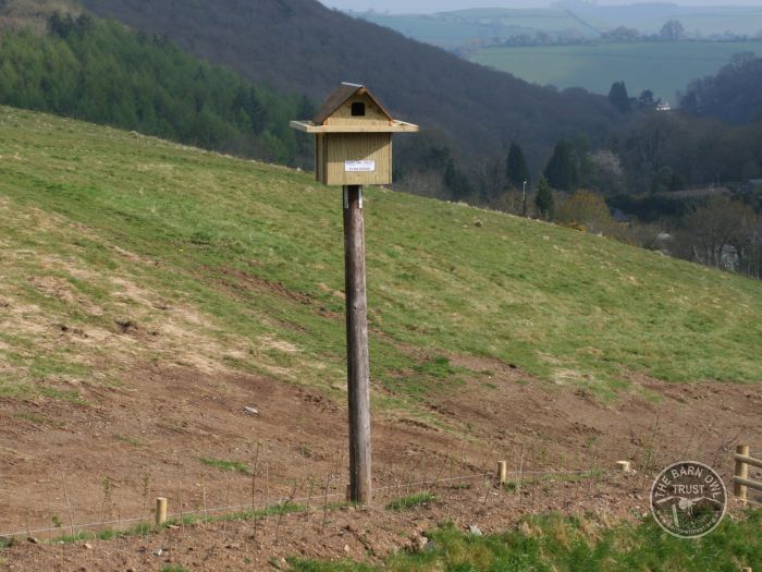 A polebox - The Barn Owl Trust